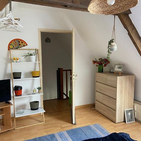 Chez Mag Apartment Lille Luaran gambar